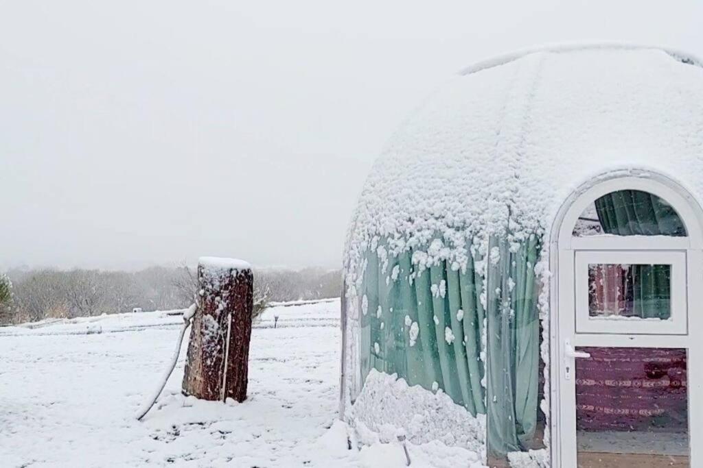 Stargazing Retreats Homestay Camp Verde Bilik gambar